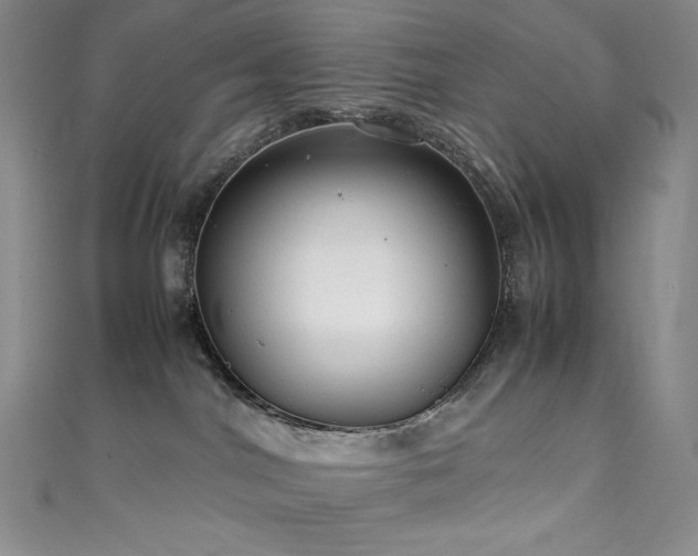 X0000111530044200907141537