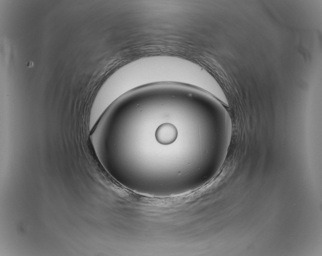 X0000111530045200907141537