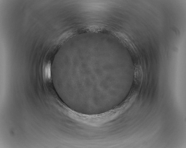 X0000111530046200907141537