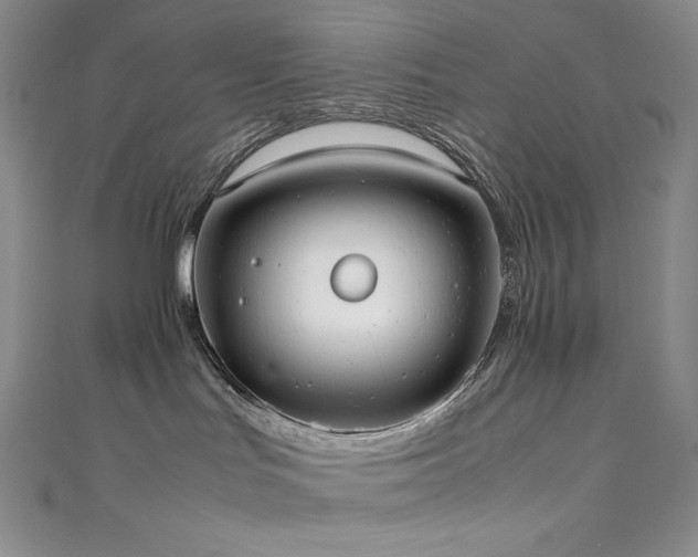 X0000111530047200907141537