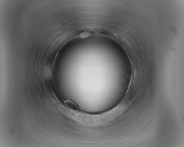 X0000111530048200907141537