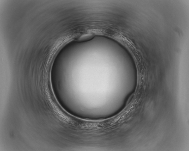 X0000111530049200907141536