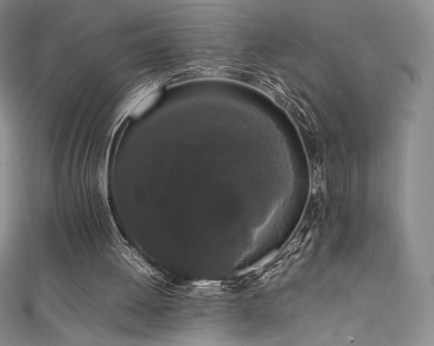 X0000111530052200907141536