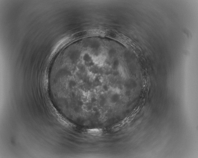 X0000111530053200907141536