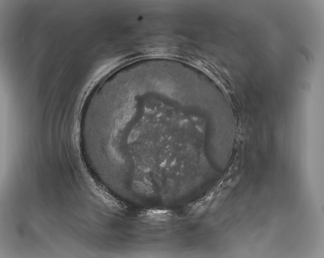 X0000111530055200907141536