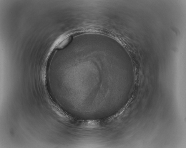 X0000111530056200907141536