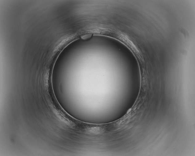 X0000111530058200907141536