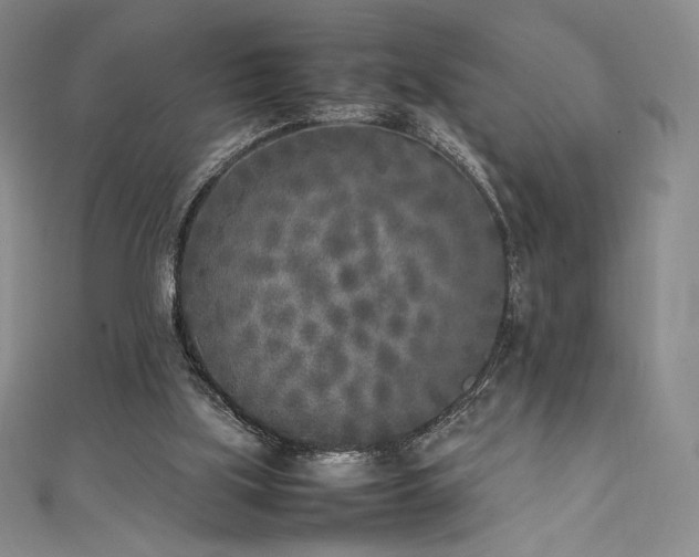 X0000111530059200907141536