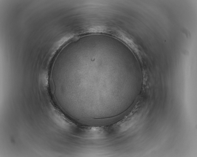 X0000111530060200907141536