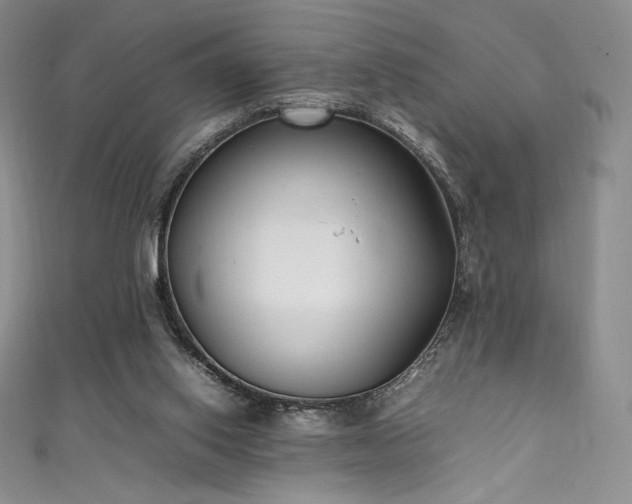 X0000111530062200907141536