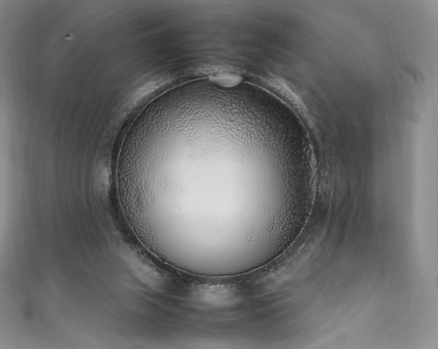 X0000111530063200907141536