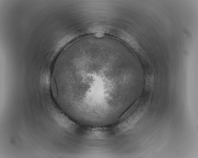 X0000111530064200907141536