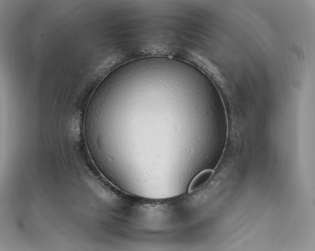 X0000111530065200907141536