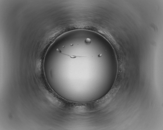 X0000111530066200907141536