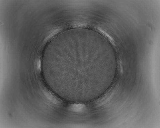 X0000111530067200907141536