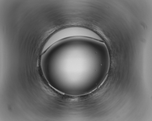 X0000111530068200907141536