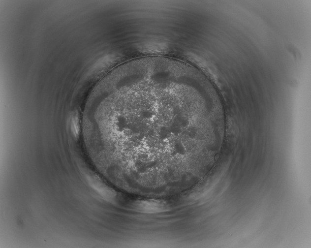 X0000111530069200907141536