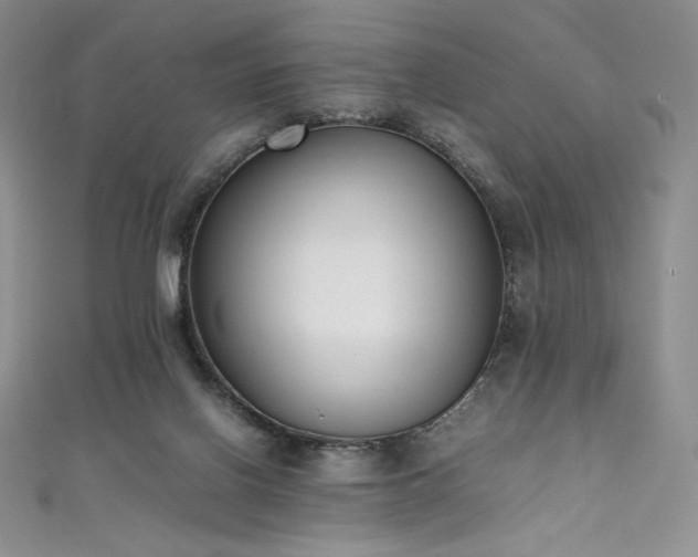 X0000111530070200907141536