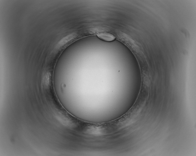 X0000111530071200907141536