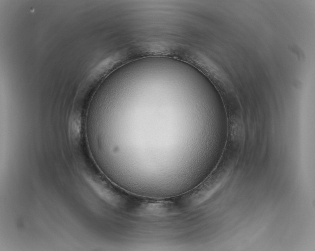 X0000111530072200907141536