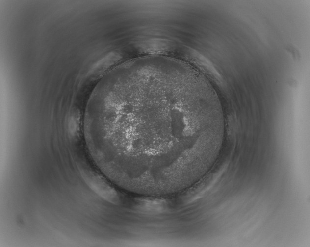 X0000111530073200907141536