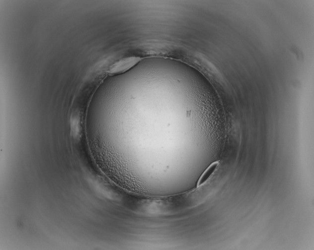 X0000111530074200907141536