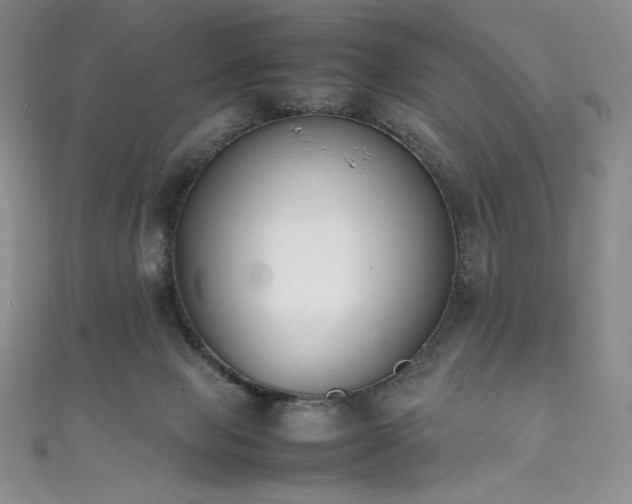 X0000111530077200907141536