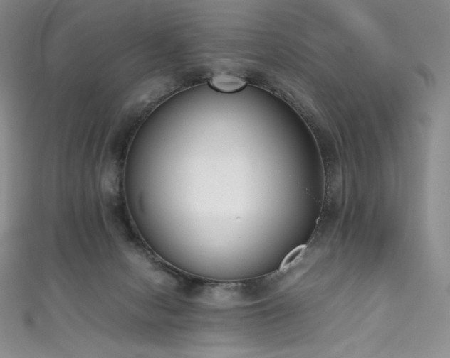 X0000111530078200907141536