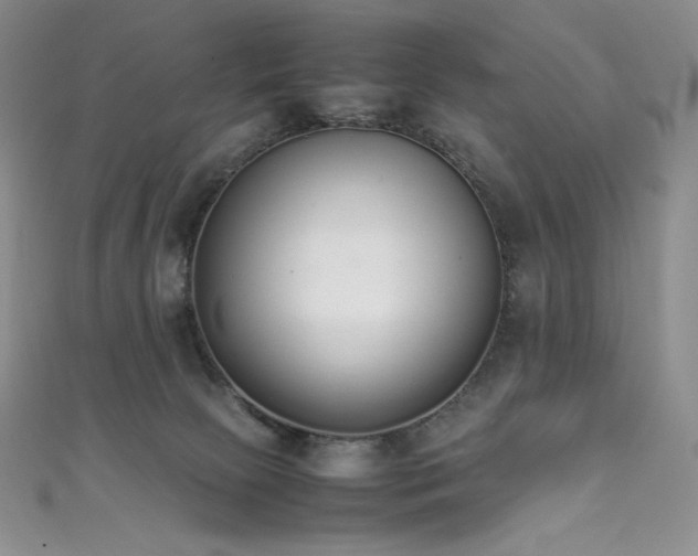 X0000111530081200907141536