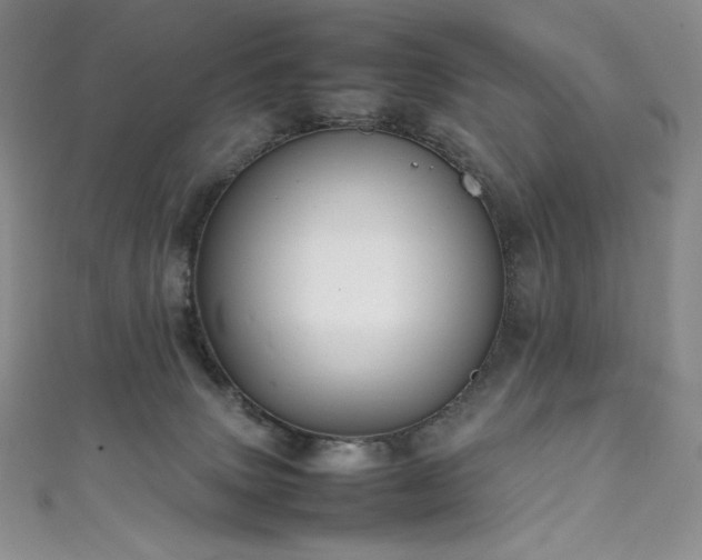 X0000111530083200907141536