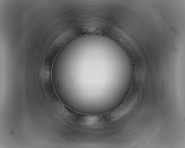 X0000111530085200907141536