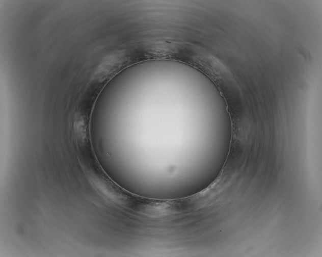 X0000111530086200907141536