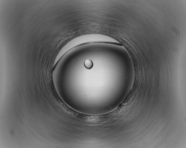 X0000111530088200907141536