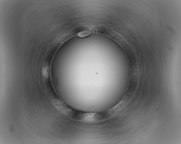 X0000111530090200907141536