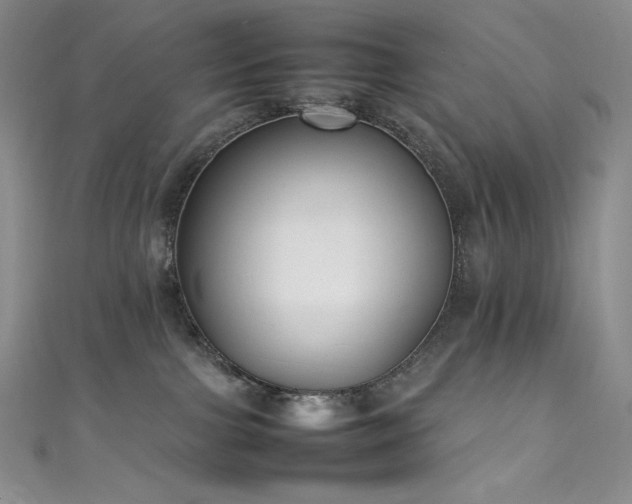 X0000111530091200907141536