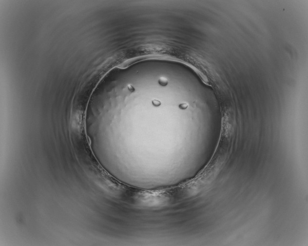 X0000111530093200907141537