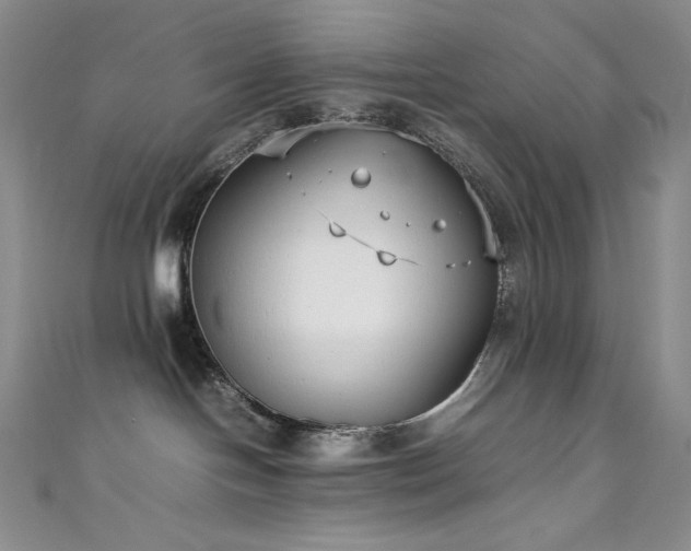 X0000111530094200907141537