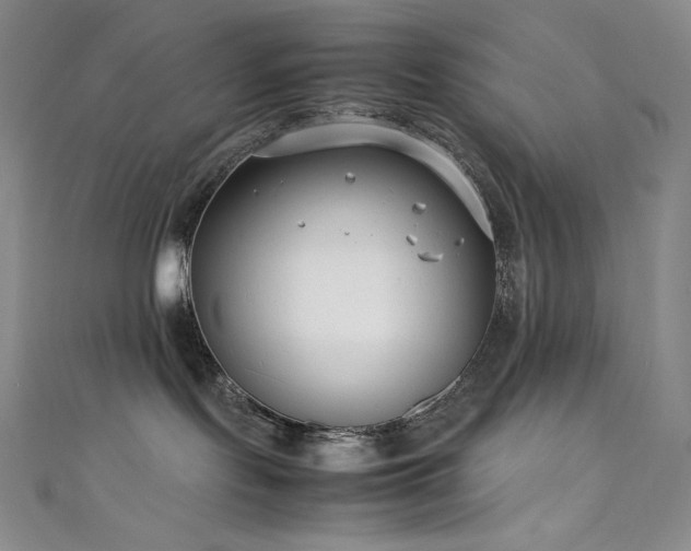 X0000111530095200907141537