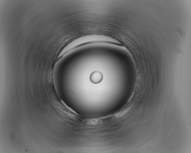 X0000111530096200907141537