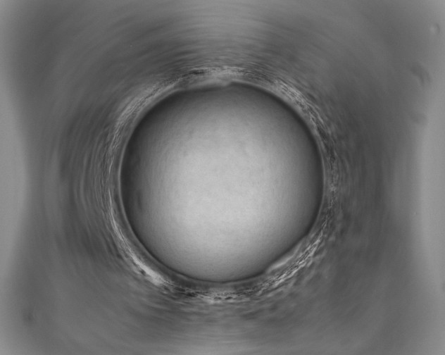 X0000111530097200907141536