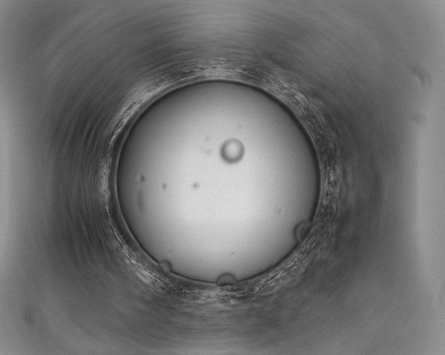 X0000111530098200907141536