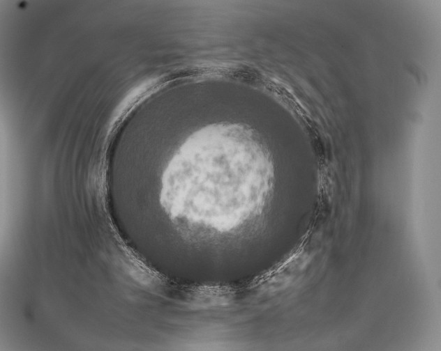 X0000111530101200907141536