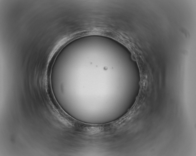 X0000111530102200907141536