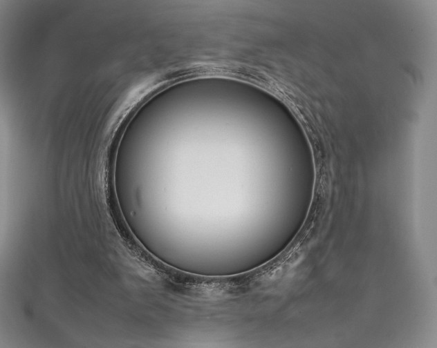 X0000111530103200907141536