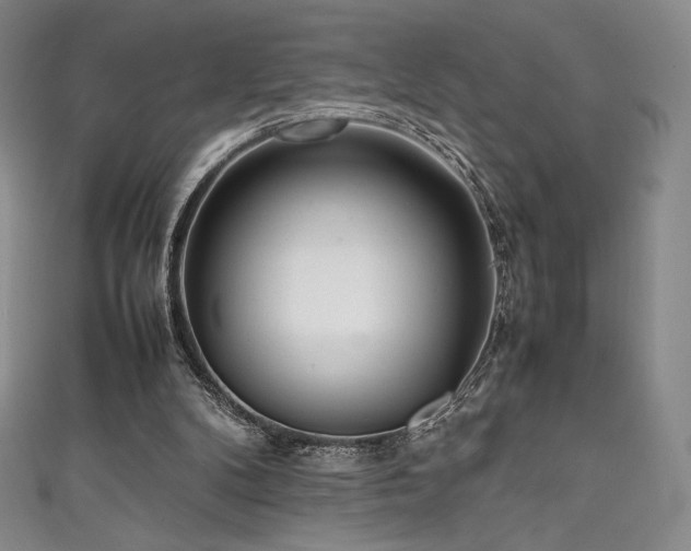 X0000111530104200907141536