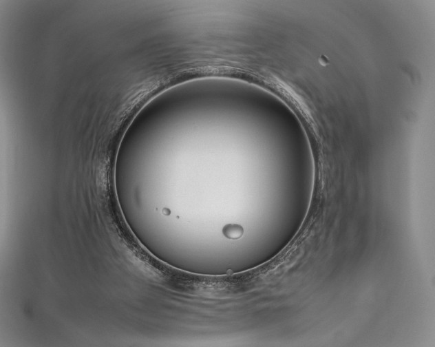 X0000111530105200907141536