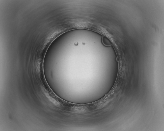 X0000111530106200907141536