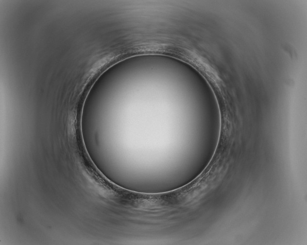 X0000111530107200907141536