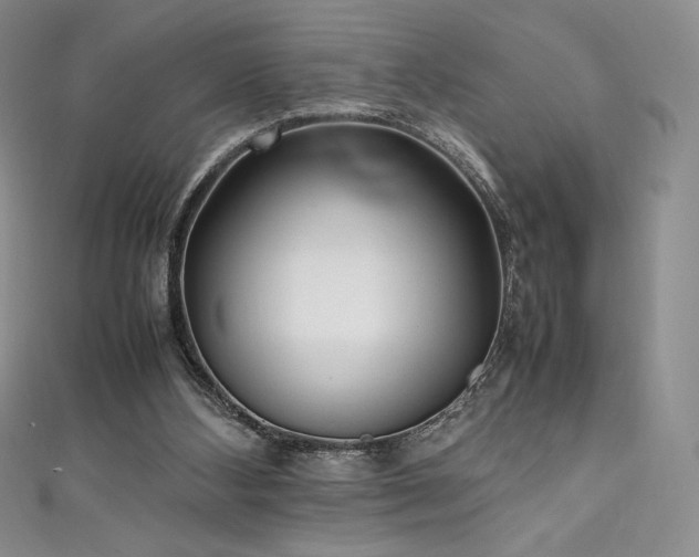 X0000111530108200907141536