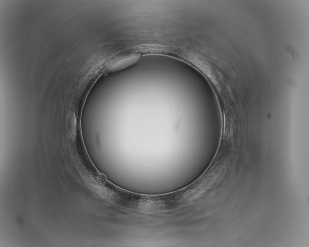 X0000111530109200907141536